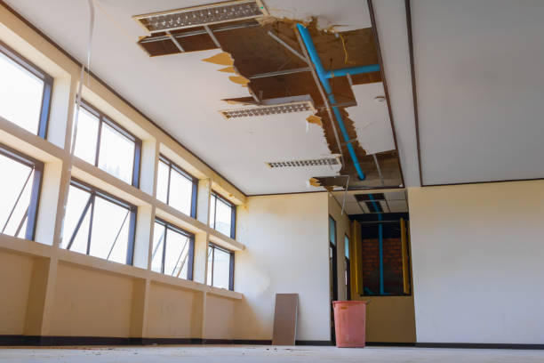 Best Mold removal after water damage  in Mastic, NY