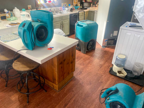 Best Ceiling water damage repair  in Mastic, NY