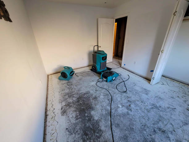 Best Water damage cleanup near me  in Mastic, NY