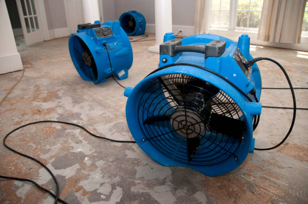 Best Basement water damage restoration  in Mastic, NY