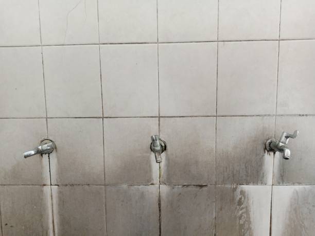 Best Water damage restoration near me  in Mastic, NY