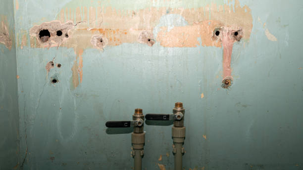 Best Fire Damage Restoration  in Mastic, NY